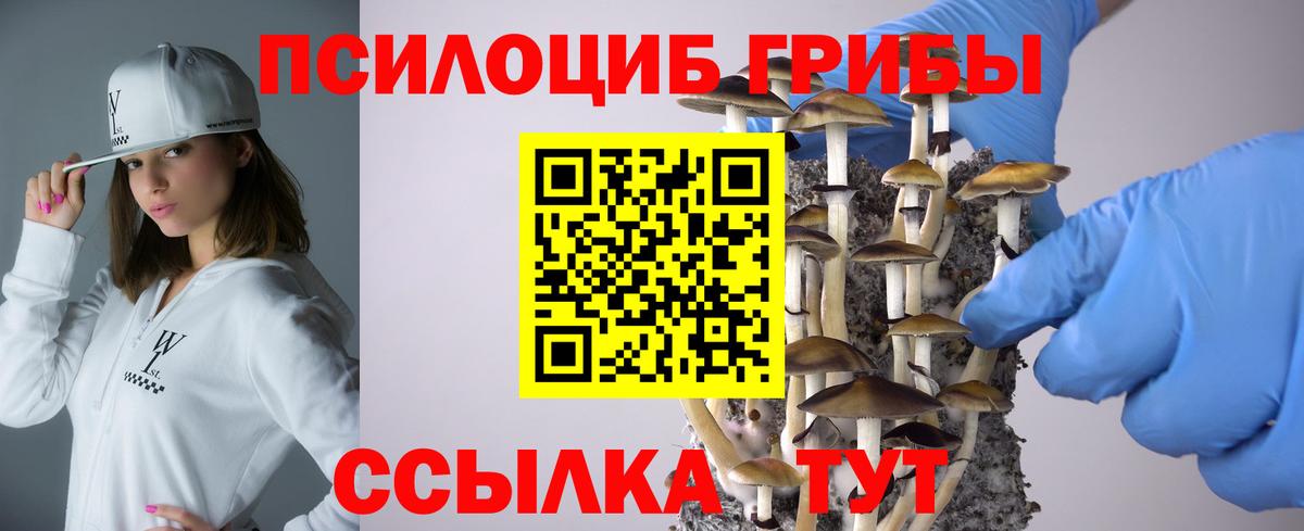 Псилоцибиновые грибы Cubensis  Вход с VPN  Саянск 